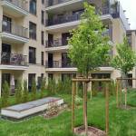 Saint-cloud république photo